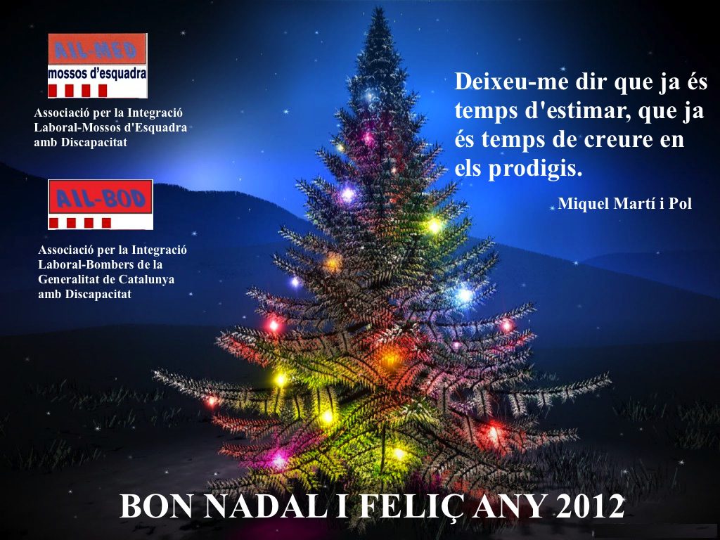 Bon Nadal i Feliç 2012